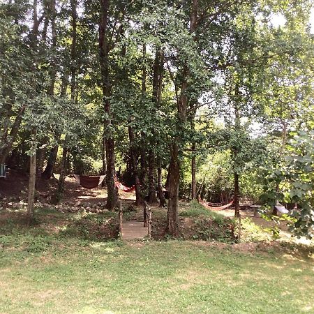 Piccola Ospitalita Bed & Breakfast Campagna Ngoại thất bức ảnh